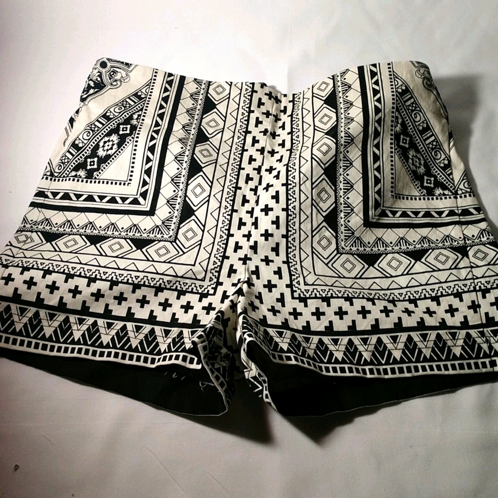 Flying Tomato Wild Design Shorts